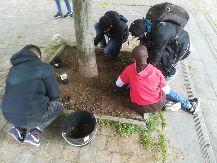 Actie door jongeren van de FJM (Foyer des Jeunes des Marolles) om drie boomvoeten te vergroenen met planten op het Breugelplein