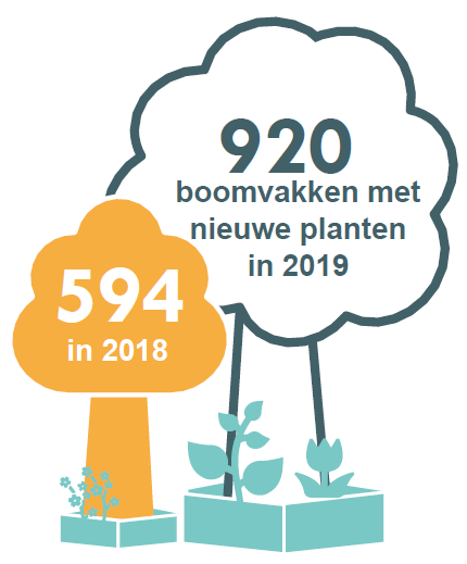 920 boomvakken met nieuwe planten in 2019 (594 in 2018)
