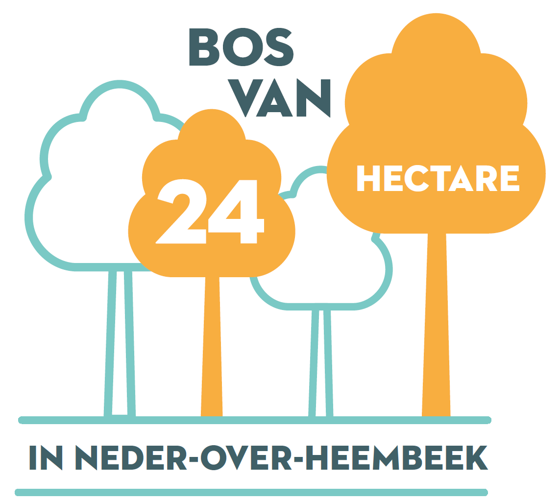 Bos van 24 hectare in Neder-Over-Heembeek