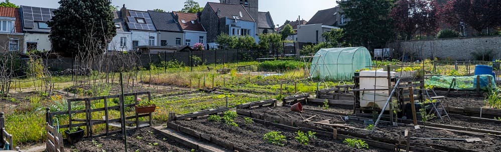 Klimaatplan - Voedsel en stadslandbouw