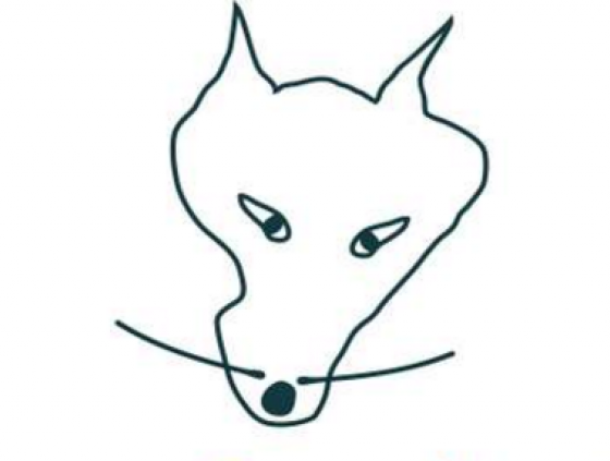 Le Wolf - animatie en workshops