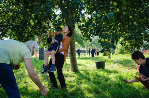 Workshops in de boomgaarden van Neder-Over-Heembeek
