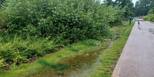 Beheer van regenwater in Brussel