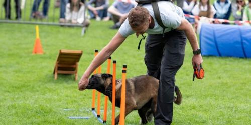 Premie hondentraining