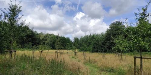 Boomgaarden in Neder-Over-Heembeek