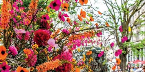 Ontvang je je Brusseleir niet?