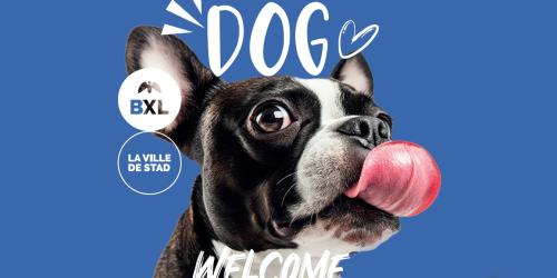 Honden welkom in handelszaken - Dog Friendly Place