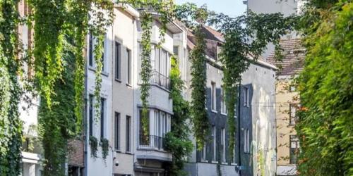 Koelte-eilanden in de stad