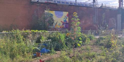 Technische en logistieke steun voor stedelijke moestuinen