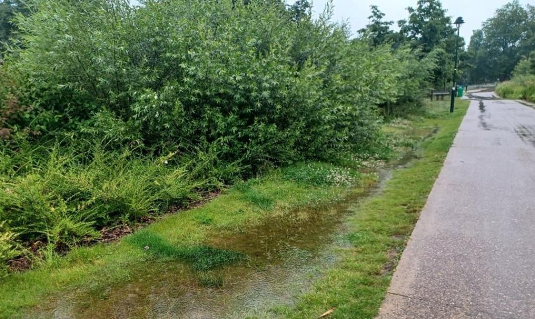 Beheer van regenwater in Brussel