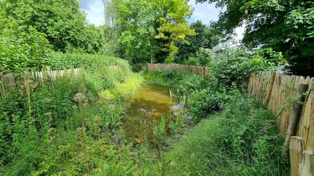 Projecten van geïntegreerd regenwaterbeheer in Brussel