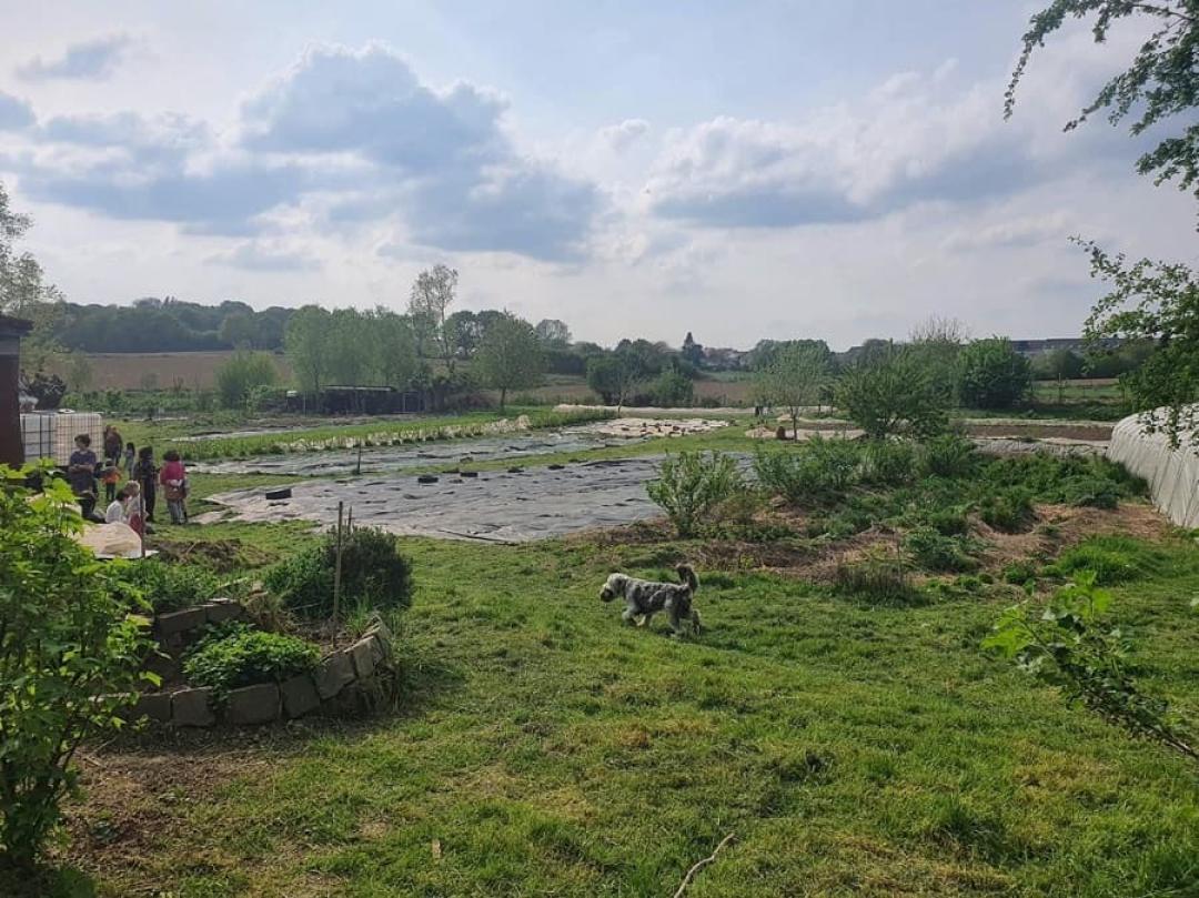 Technische en logistieke steun voor stedelijke moestuinen