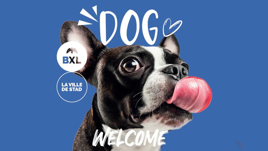 Honden welkom in handelszaken - Dog Friendly Place