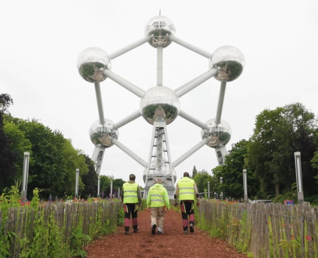 De job van tuinier in video