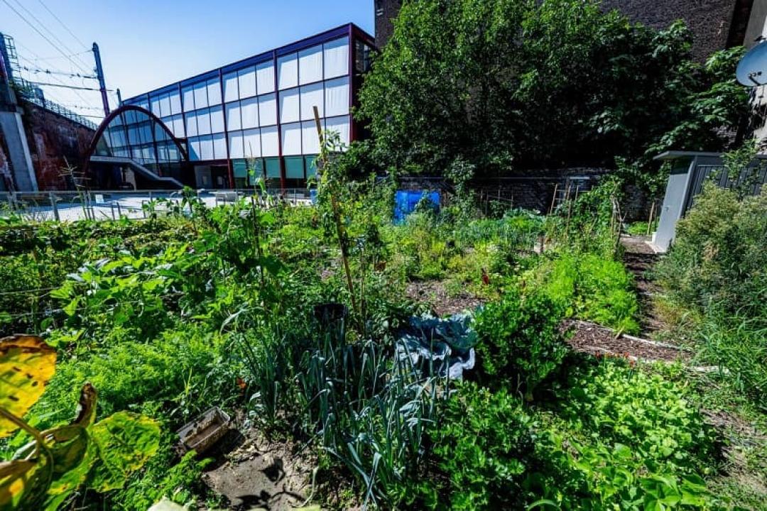 Een collectieve moestuin in uw buurt?