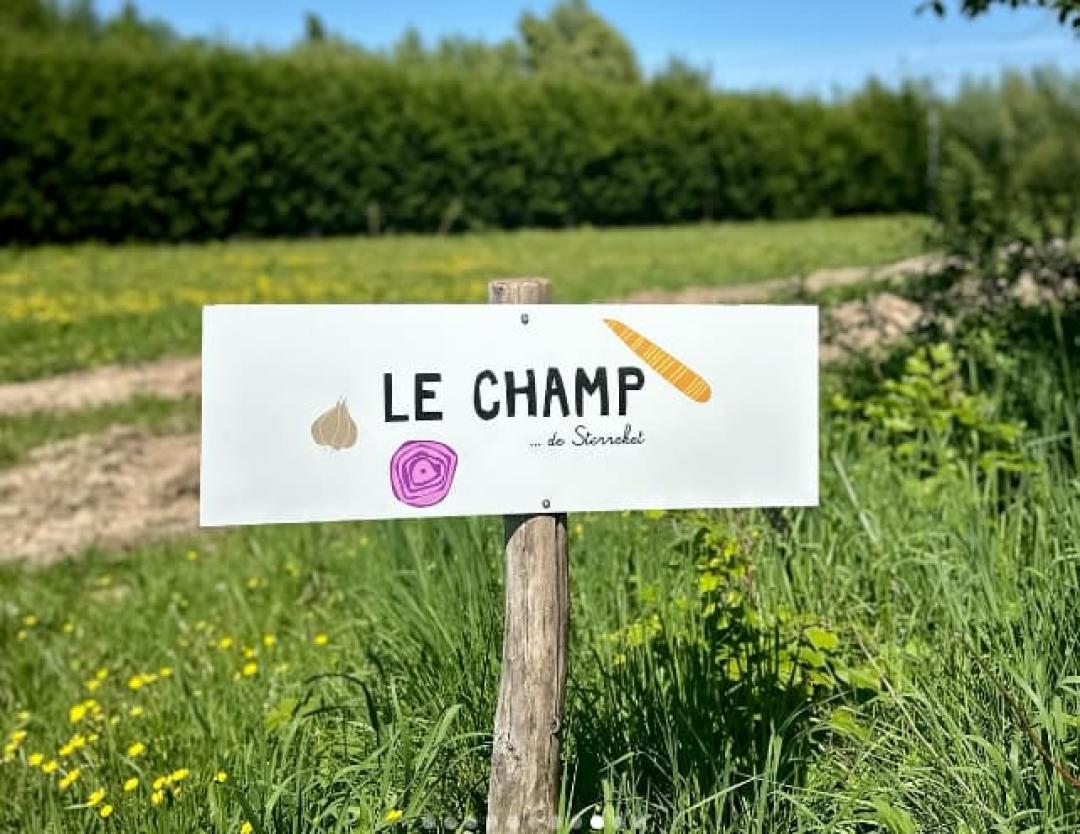 Tuinbouwproject Sterreket