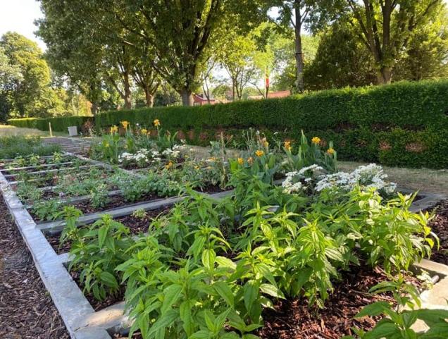 Gratis bloemen op de begraafplaatsen