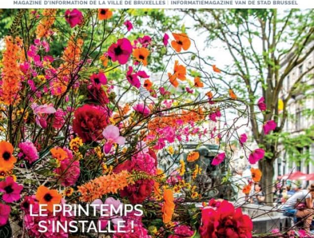 Ontvang je je Brusseleir niet?