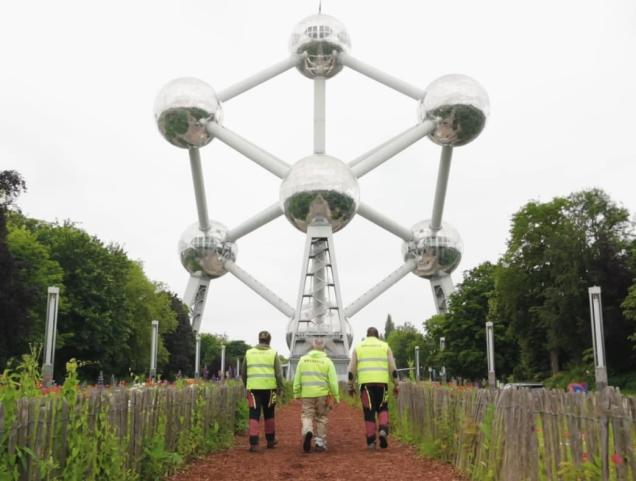 De job van tuinier in video