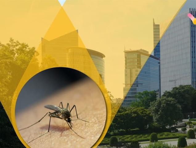 Hoe je beschermen tegen het westnijlvirus?