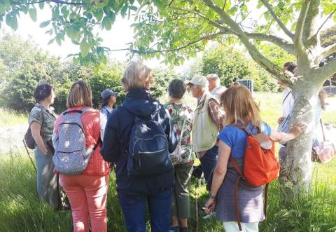 Wandeling in de stadsboerderij 'Le début des haricots'