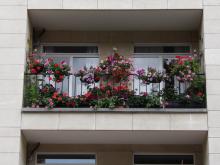 Laureaten Brussel in de bloemen 2021 - Balkon - 2. Thyssen Marie - klik om te vergroten