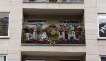 Laureaten Brussel in de bloemen 2023 - Balkon - 1. Thyssen Marie - klik om te vergroten